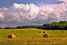 It could be that you can see dark. Summer Weather 2021 Hot Stormy Summer On The Way The Old Farmer S Almanac