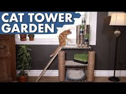 These beautiful cat trees are custom made from reclaimed driftwood, a great material for a cat tree! Diy Cat Tower Garden Garden Answer Youtube
