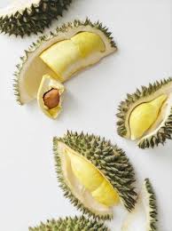 Bacok (bandar kocok) | jajanan unik jaman now. 28 Durian Ideas Durian Durian Logo Durian Design