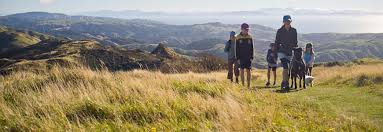 Learn about visas, job prospects and the great lifestyle here. Moving To New Zealand From Usa New Zealand Now