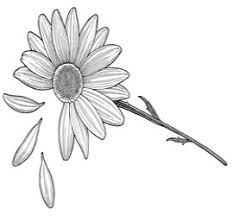 Tattoo Outline Design In 2020 Daisy Tattoo Daisy Tattoo Designs Daffodil Tattoo