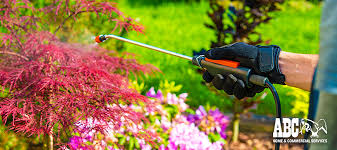 Our eco friendly pest control guide is what you're lookng for. The Importance Of Eco Friendly Pest Control Abc Blog