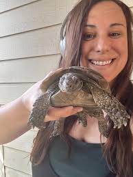 Tortoises and Turtles as Long-Lived Pets