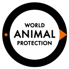 Find market predictions, proteccion financials and market news. Proteccion Animal Movemosalmundo Twitter