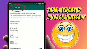 Cara Mengatur Privasi Info Pribadi Saya Pada Whatsapp Di 2020 Youtube