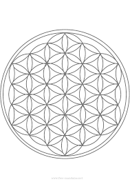 Maybe you would like to learn more about one of these? Mandala In 2021 Flower Of Life Tattoo Flower Of Life Sacred Geometry Tattoo