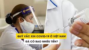 Thường sau tiêm vắc xin khoảng 14 ngày thì cơ thể sinh ra kháng thể bảo vệ. Quá»¹ Váº¯c Xin Covid 19 á»Ÿ Viá»‡t Nam Ä'a Co Bao Nhieu Tiá»n Youtube