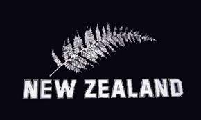 Sie verlassen die website von nad. Fahnen Und Flaggen Preiswert Bei Uns Im Fahnen Shop Bestellen Neuseeland Farn Fahne Flagge 90x150 Cm Neuseeland Fahne Flagge 90x150 Cm New Zealand Farn Lf043b