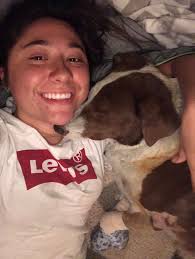 Paradise dog survives Camp Fire; Butte Humane Society stocks pet food