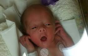 Child Development Lab at Florida Atlantic University (Baby Lab at FAU)