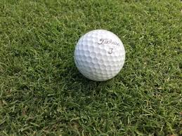 It grows in a wide range of soil types as long as adequate drainage and sunlight is efficient. What Does Advanced Turfgrass At The Next Level Look Like