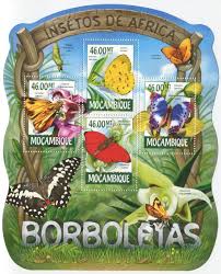 Image result for Disperis reichenbachiana