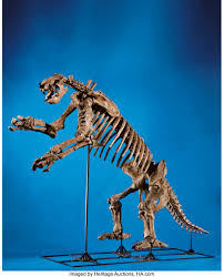 These deal offers are from many sources, selected by our smart and comprehensive system. Superb Giant Ground Sloth Skeleton Fossils Mammals Lot 49081 Heritage Auctions