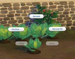 Harvestable Lettuce Sims 4 Sims Packs Sims 4 Update