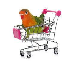 A wide variety of handmade parrot toys options are available to you, such as material, feature, and toys type. Making Toys For Your Parrot Parrot Toys Parrots Guide Omlet Us