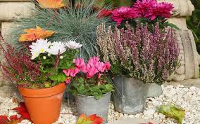 Im sommer erfreuen wir uns an einer. Garten Herbstlich Gestalten 6 Schnell Umsetzbare Dekoideen