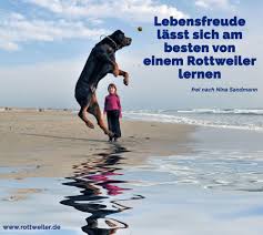 Rottweiler Zitate Und Spruche Rottweiler De