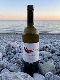 Image result for Selago anatrichota × goetzei