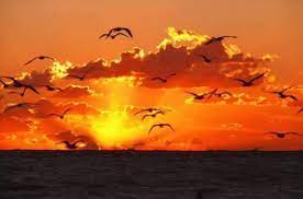 A nyári napforduló jelképe viszont megint csak kalászkoszorús, jobbára meztelen ifjú volt. Nyari Napfordulo Minden Ami Asztrologia