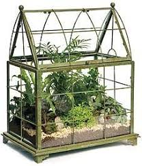 Gardening Terrariums Greenhouse Terrarium Cloches Terrariums Beautiful Terrariums Fairy Garden Terrarium Greenhou Garden Terrarium Terrarium Indoor Plants