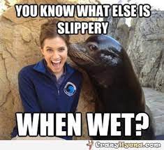 When a joke is bad, then it means it is offensive however funny it is. Funny Pictures Dirty Funny Memes