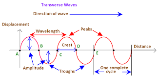 Here, the movement of the particles is from left to right and force other particles to vibrate. Types Of Transverse Waves Ultrasound Physics Chemistry Lessons Science Notes
