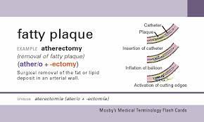 Word parts and what they mean. Mosby S Medical Terminology Flash Cards Ankiweb