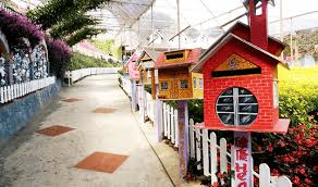 Part of vlog family bintang ara to cameron highland*family vacation*location : Taman Bunga Lavender Cameron Highland Aiskrim Lavender