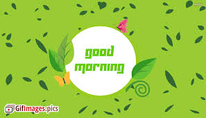 Here, we have collected some unique happy good morning gif images. Good Morning Everyone Gif Green Nature Morning Gif Gifimages Pics