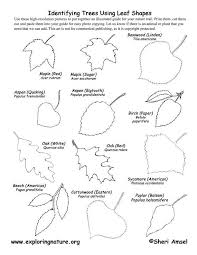 Identifying Trees Using Leaf Shapes Free Printable Tree