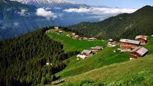 Karadeniz'in cennet yaylalarını birbirine bağlayacak yeşil yol projesi'ne çevrecilerin tepkisi sürerken. Yesil Yol Projesi 2018 De Tamamlanacak
