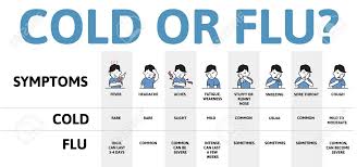 Cold And Flu Symptoms Table Chart Infographic Poster With Text