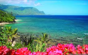 Maybe you would like to learn more about one of these? Beautiful Hawaii Wallpaper 1920x1200 15371
