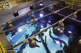 Pin On Public Aquarium Led Lighting Orphek
