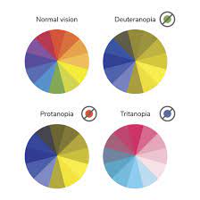 This is based on the fact, that all colors are perceived as a mixture of the three different cone types, and if one of them is missing the whole color spectrum changes. Color Blindness When Red Looks Like Brown