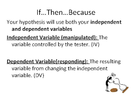 Your kids will love learning about how plants drink water with this simple experiment. What Is A Real Hypothesis A Hypothesis Is
