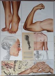 A Level Art The Essence Of Student Art Guide A Level Art Sketchbook A Level Art