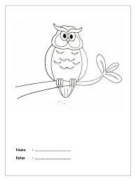 Gambar burung hantu | burung hantu merupakan nama untuk sekelompok burung yang termasuk dalam salah satu anggota spesies dari ordo strigiformes. Tugas Kolase Burung Hantu