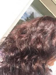 Joli Chatain Marron Chocolat