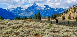 Rocky Mountain Rangelands Nfwf