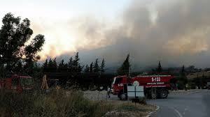 В турции в ходе борьбы с лесными пожарами локализовали 70 из 81 очага возгорания. Griz9pz7hupy1m