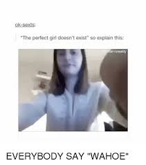 25 Best Memes About Perfection Girl Perfection Girl Memes