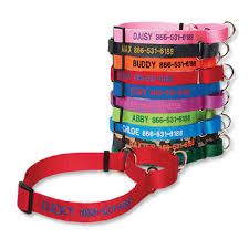 Personalized Martingale No Pull Dog Collar Orvis
