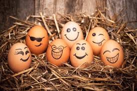 Image result for humour business quotes
