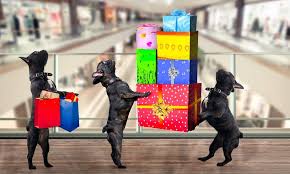 Maybe you would like to learn more about one of these? The Best 2020 Black Friday Deals For Dogs The Dogington Post