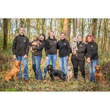 Petflow.com has been visited by 10k+ users in the past month We Love Pets Derby Derby Dog Walking Yell