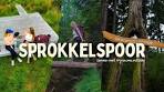 Is dit de mooiste wandelroute van Drenthe? Sprokkelspoor ... - YouTube