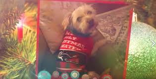 We did not find results for: Garth Brooks On Twitter We Love Your Ugly Christmas Sweaters Which Uglyxmassweater Is Your Favorite Love G T