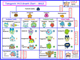 Connection V4 5 Male Growth Chart Free Hit Connection