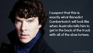 I want to apologize to Australia in advance